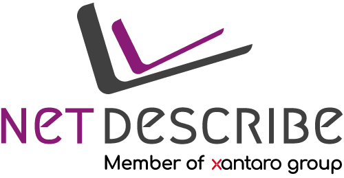 netdescribe