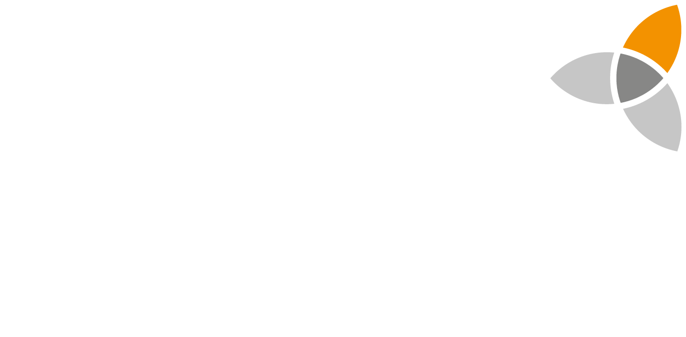 Anaptis Logo
