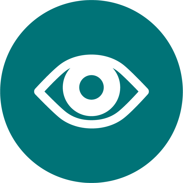 Icon Eye