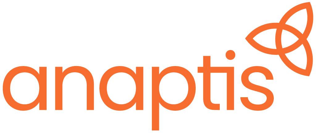 Anaptis it. werte. orientiert.