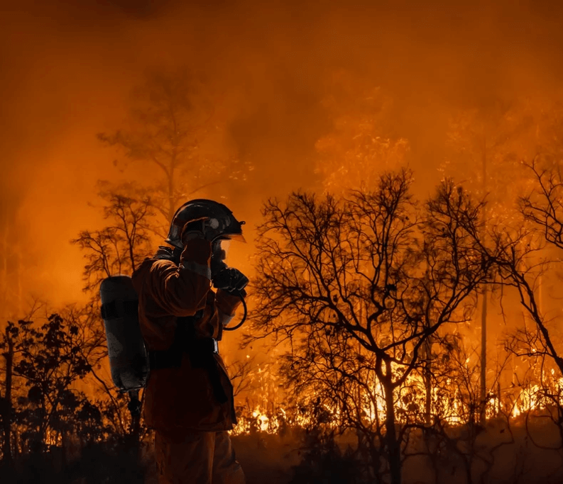 Fireman Forest Flames Vcc Catalyst